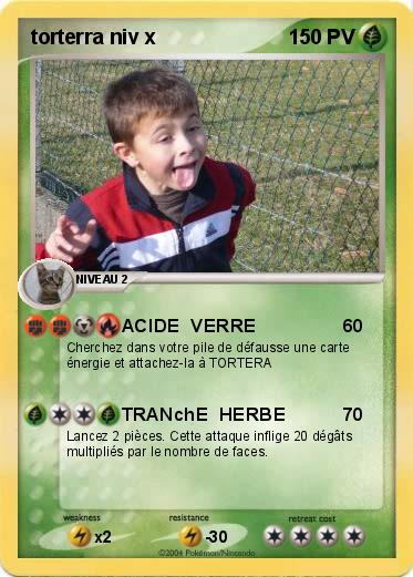 Pokemon torterra niv x