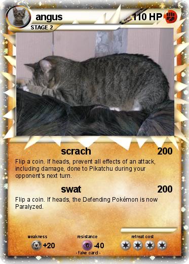 Pokemon angus