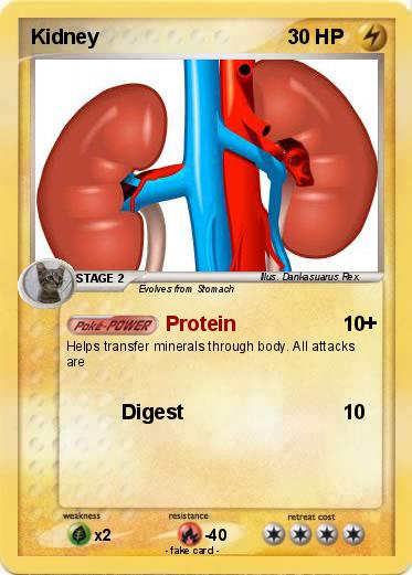 Pokemon Kidney