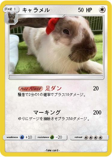 Pokemon キャラメル