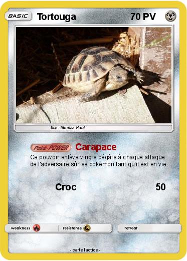 Pokemon Tortouga