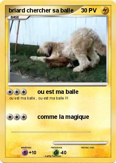 Pokemon briard chercher sa balle