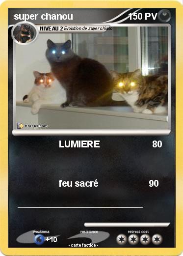 Pokemon super chanou