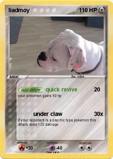 Pokemon liadmoy