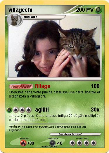 Pokemon villagechi