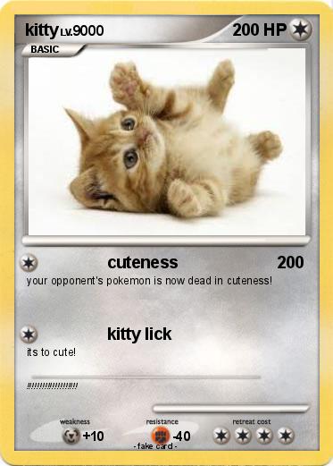 Pokemon kitty
