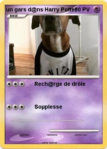 Pokemon un gars d@ns Harry Potter