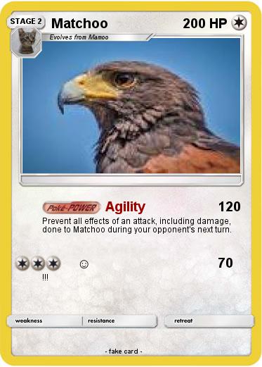 Pokemon Matchoo