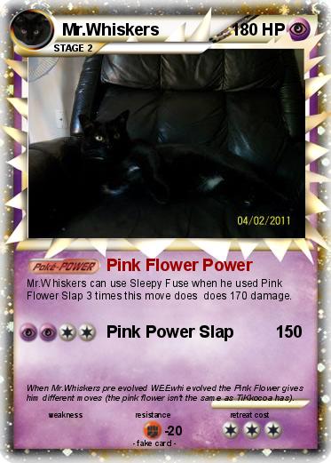 Pokemon Mr.Whiskers