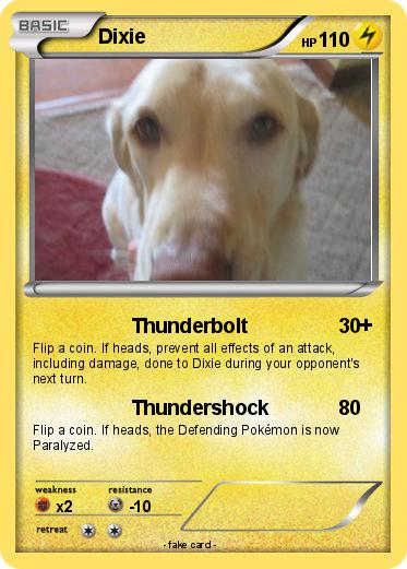Pokemon Dixie