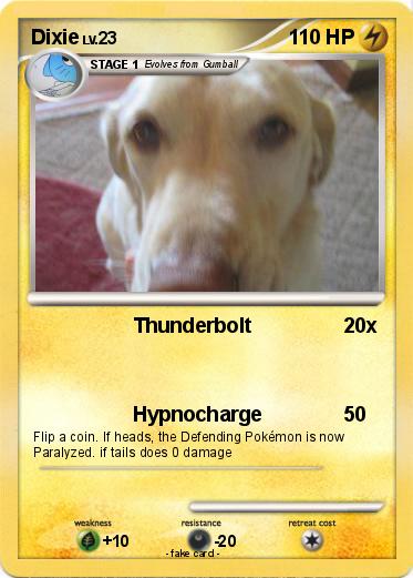 Pokemon Dixie