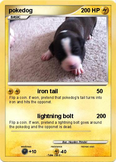 Pokemon pokedog