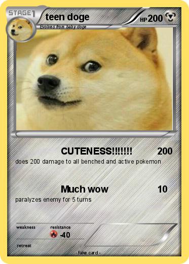 Pokemon teen doge