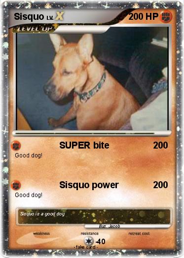 Pokemon Sisquo