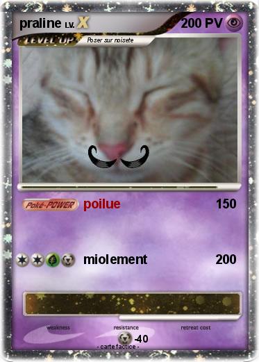 Pokemon praline