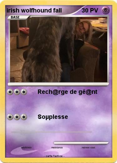 Pokemon irish wolfhound fall