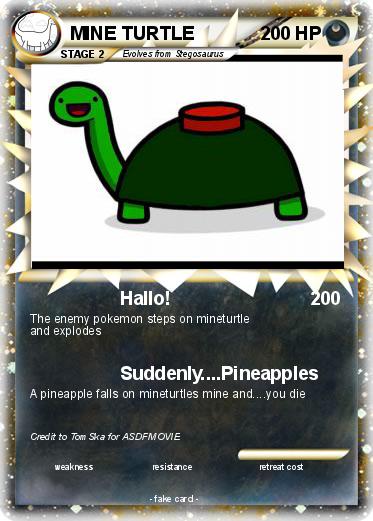 Pokemon MINE TURTLE