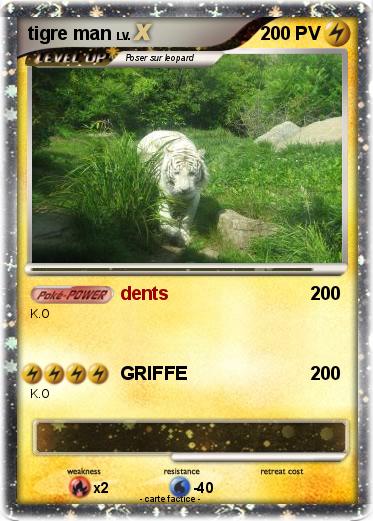 Pokemon tigre man