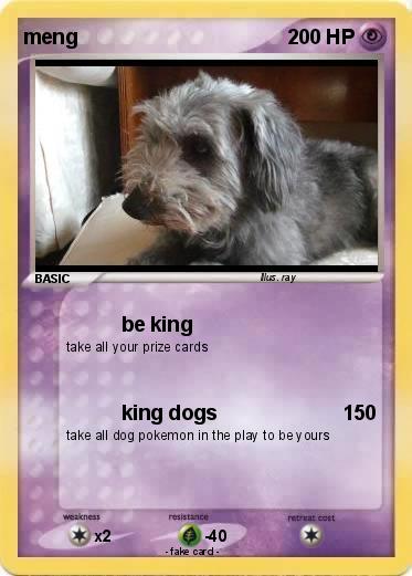 Pokemon meng