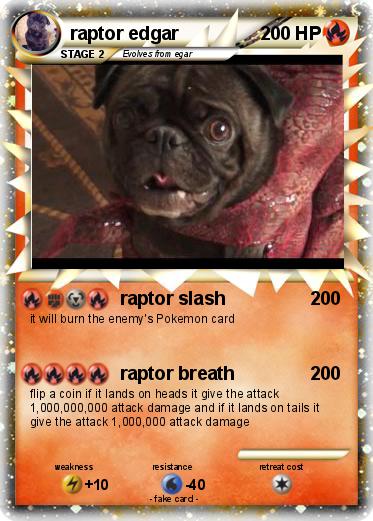 Pokemon raptor edgar