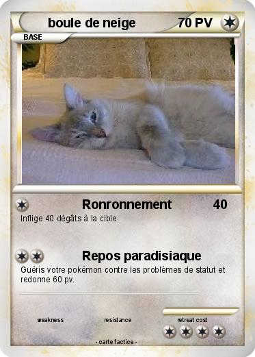 Pokemon boule de neige