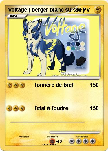 Pokemon Voltage ( berger blanc suisse )