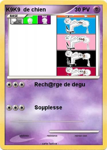 Pokemon K9K9  de chien