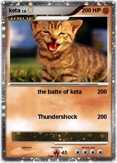 Pokemon keta