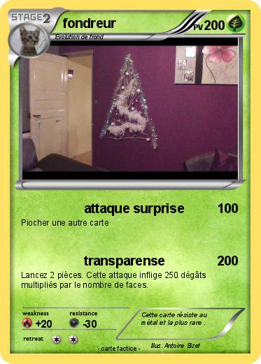 Pokemon fondreur