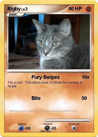 Pokemon Rigby