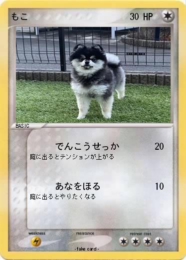 Pokemon もこ