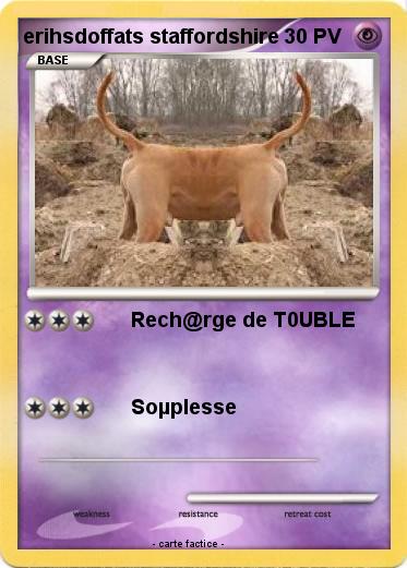 Pokemon erihsdoffats staffordshire