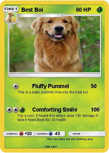Pokemon Best Boi