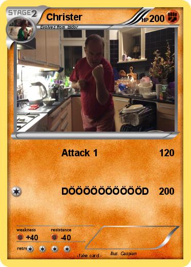 Pokemon Christer