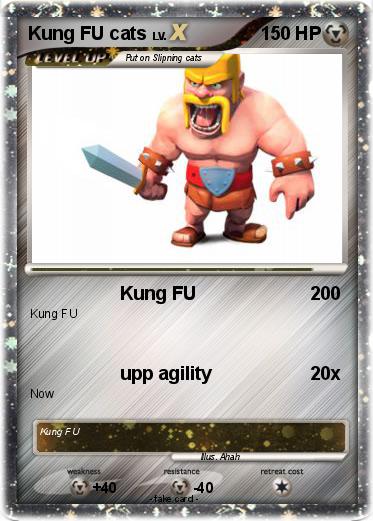 Pokemon Kung FU cats