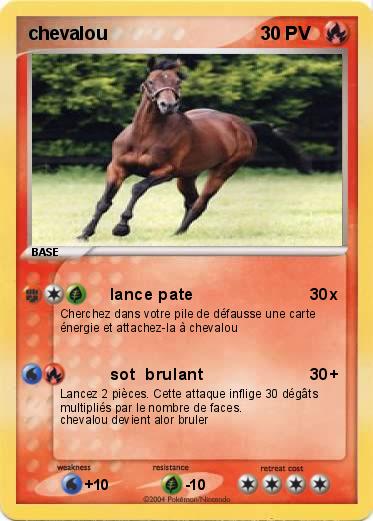 Pokemon chevalou