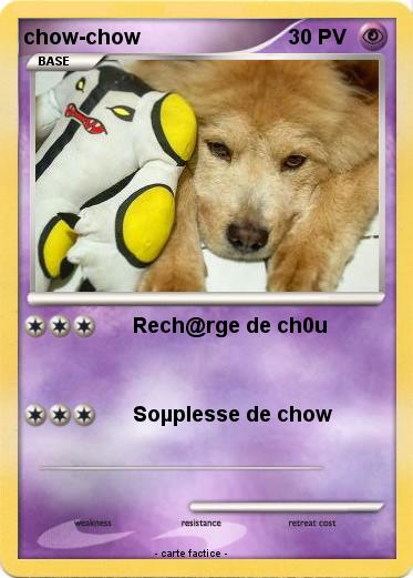 Pokemon chow-chow