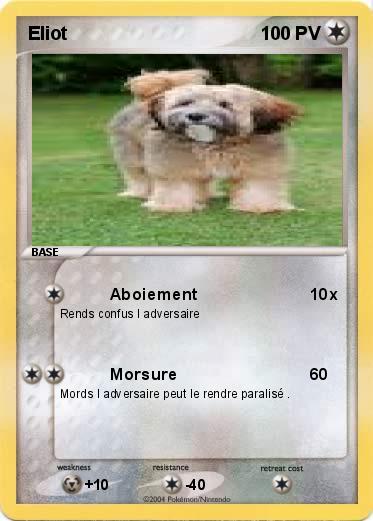 Pokemon Eliot