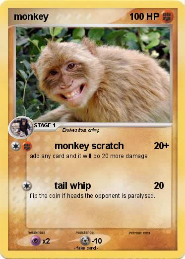 Pokemon monkey