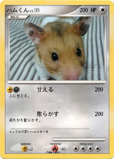Pokemon ハムくん