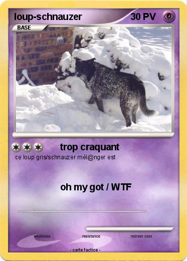 Pokemon loup-schnauzer