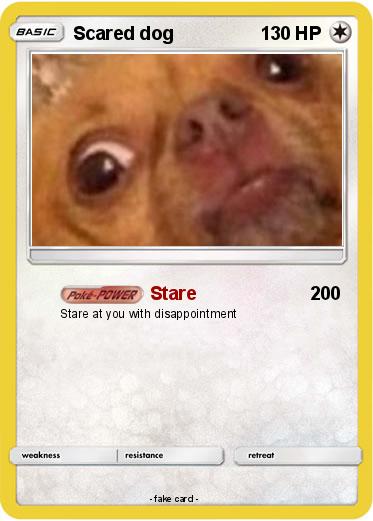 Pokemon Scared dog