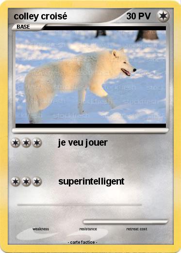 Pokemon colley croisé