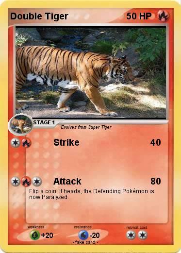 Pokemon Double Tiger