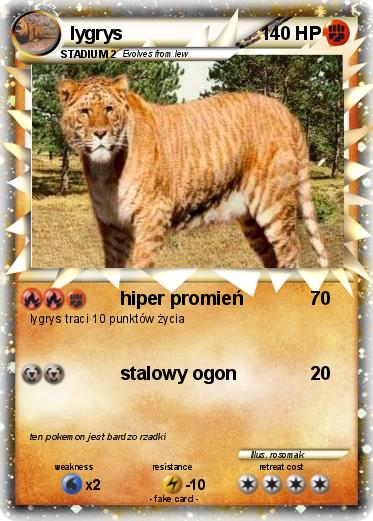 Pokemon lygrys