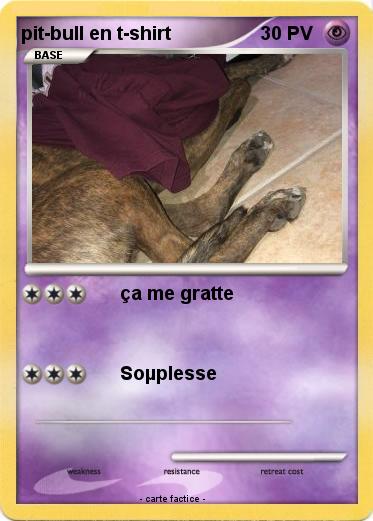 Pokemon pit-bull en t-shirt