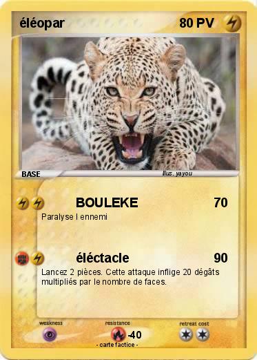 Pokemon éléopar