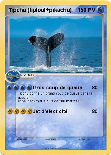 Pokemon Tipchu (tiplouf+pikachu)