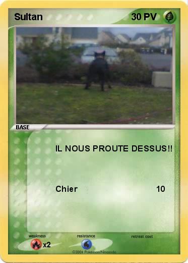 Pokemon Sultan