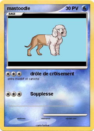 Pokemon mastoodle